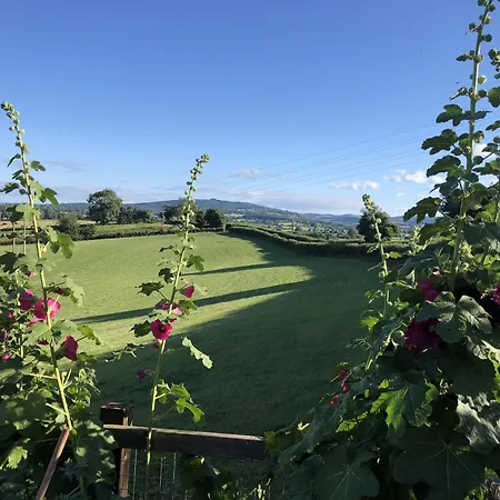 Betula Views Studio Newent Exterior photo