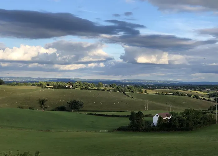 Betula Views Studio