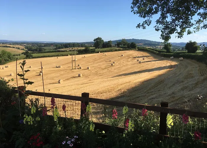 Betula Views Studio