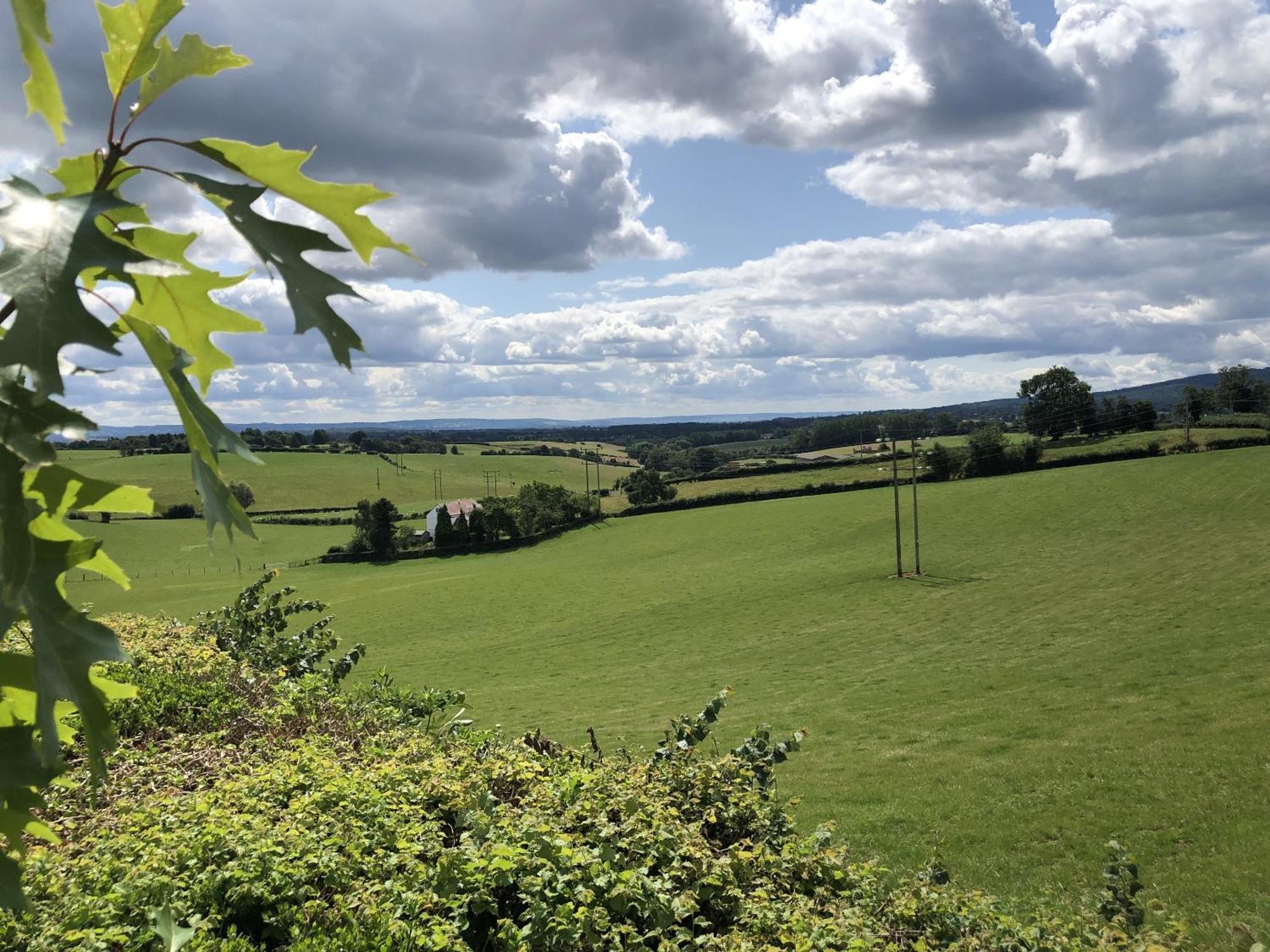 Betula Views Apartment Newent
