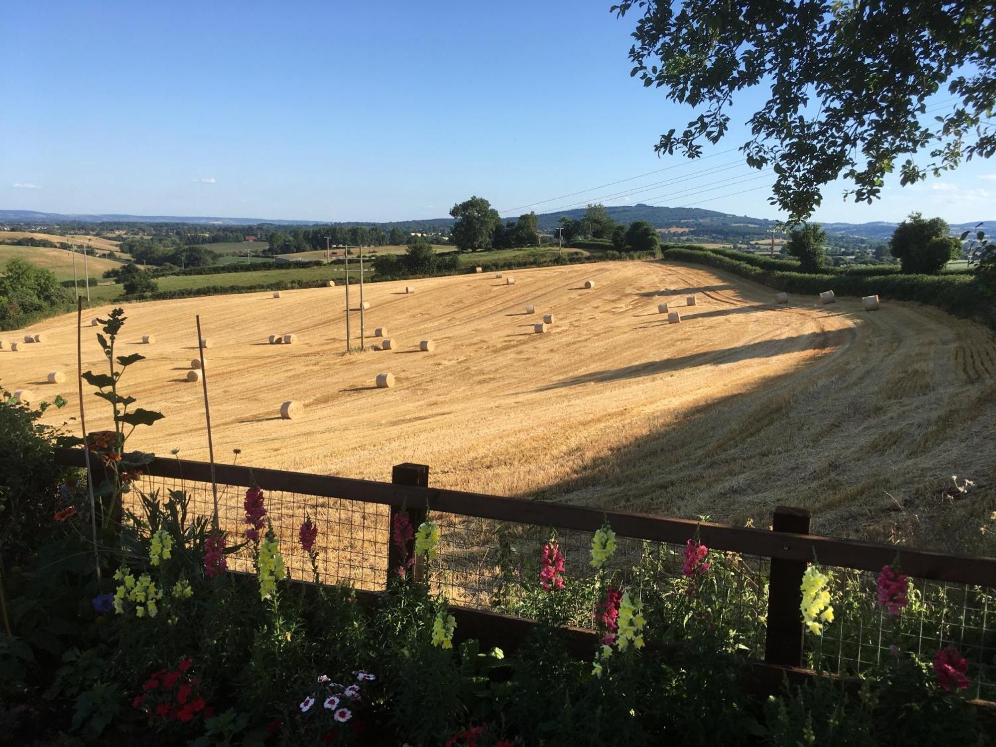 Betula Views * Newent