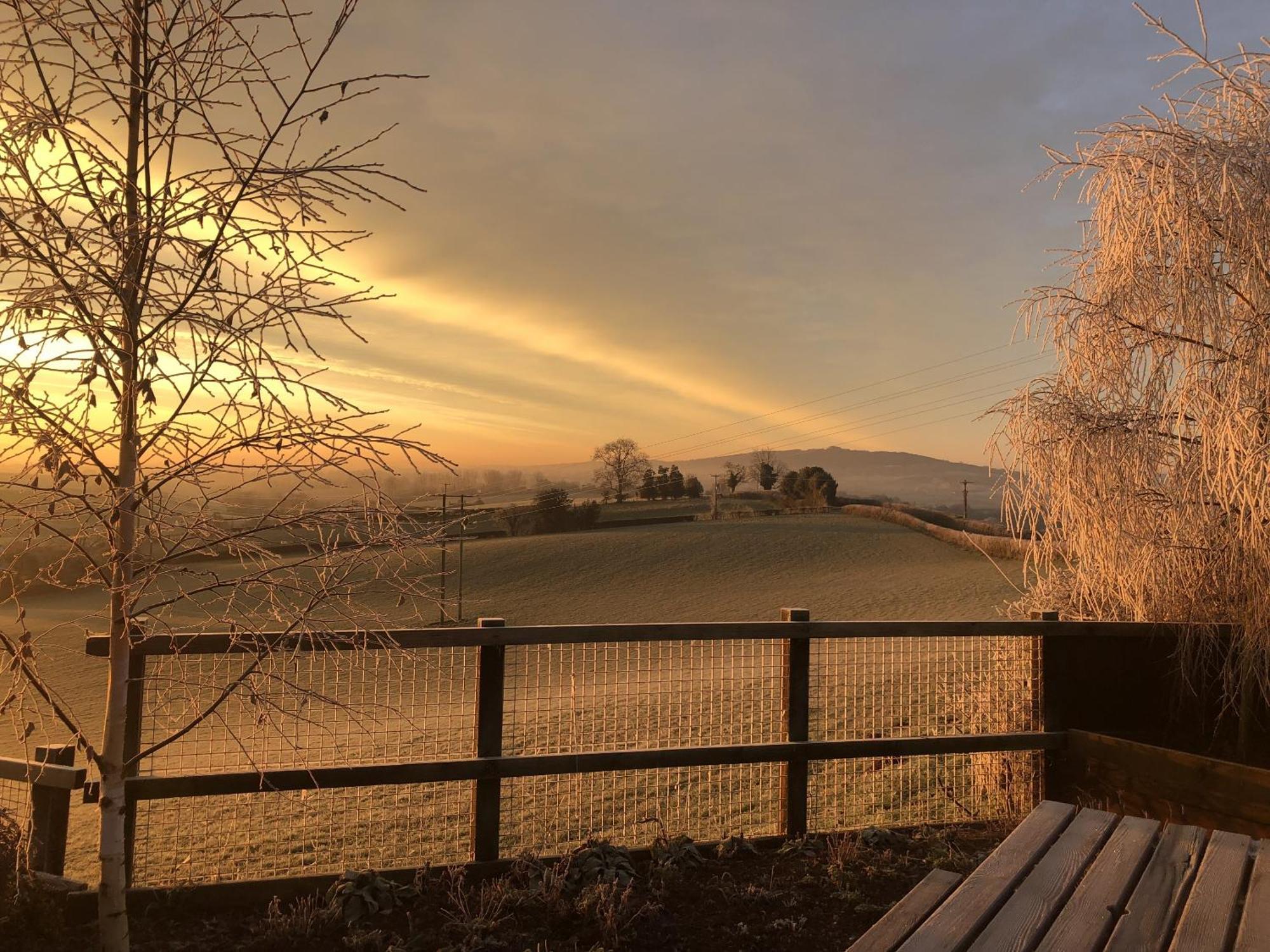 Betula Views