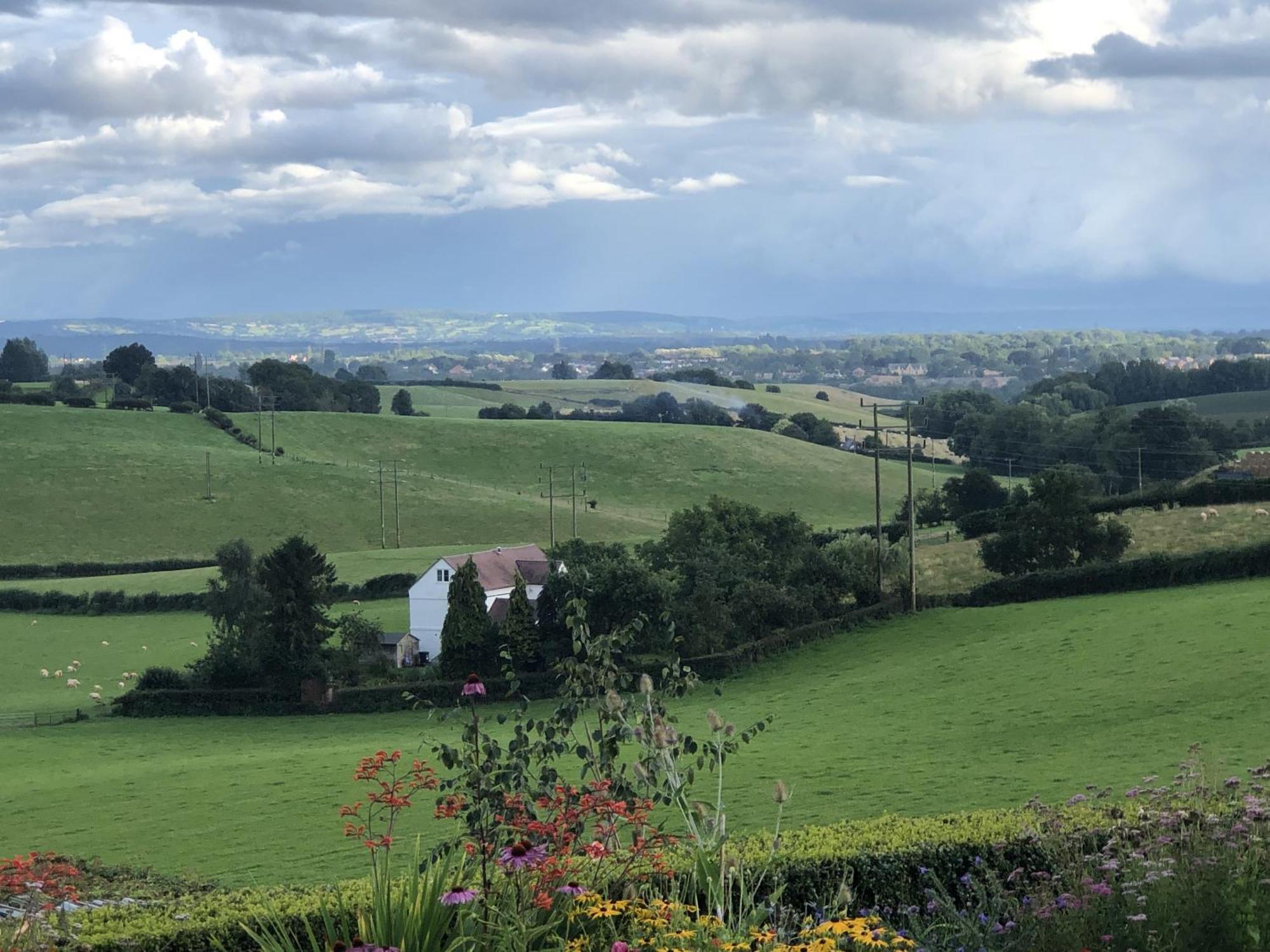 Betula Views