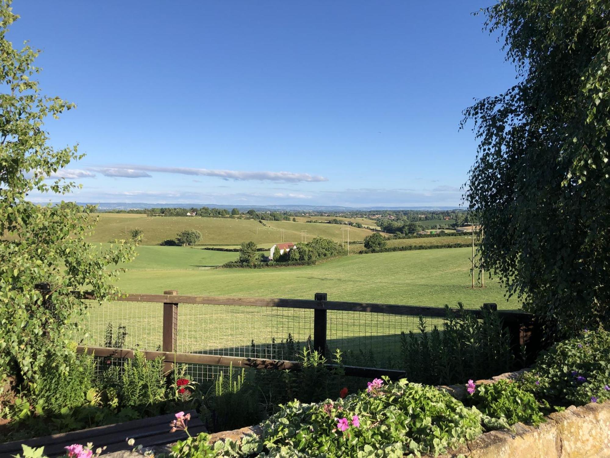 Betula Views *